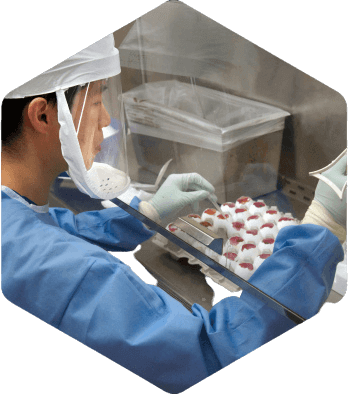 Laboratorio Gids
